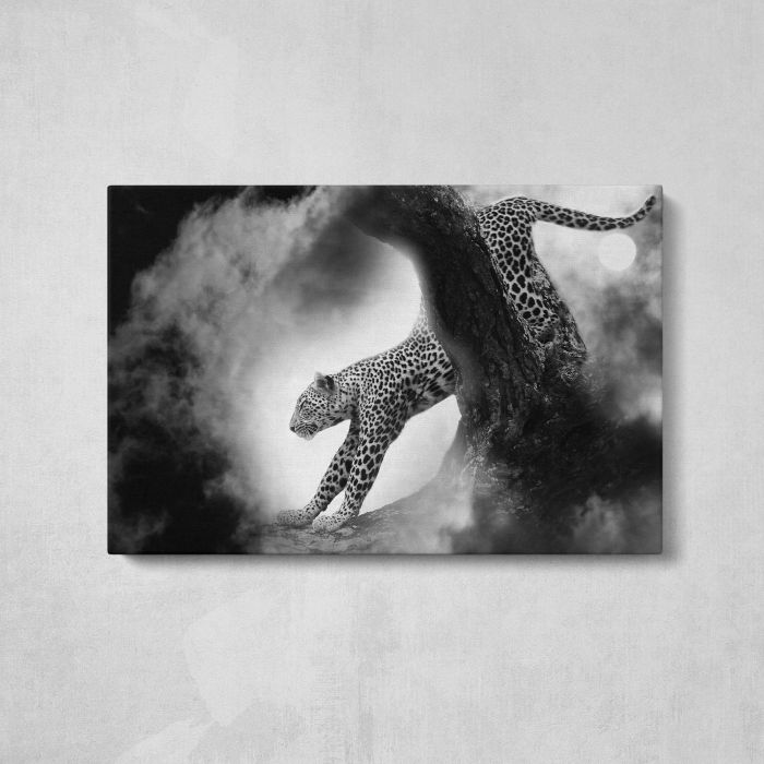 Leopard in Black and White canvas print, front canvas view
