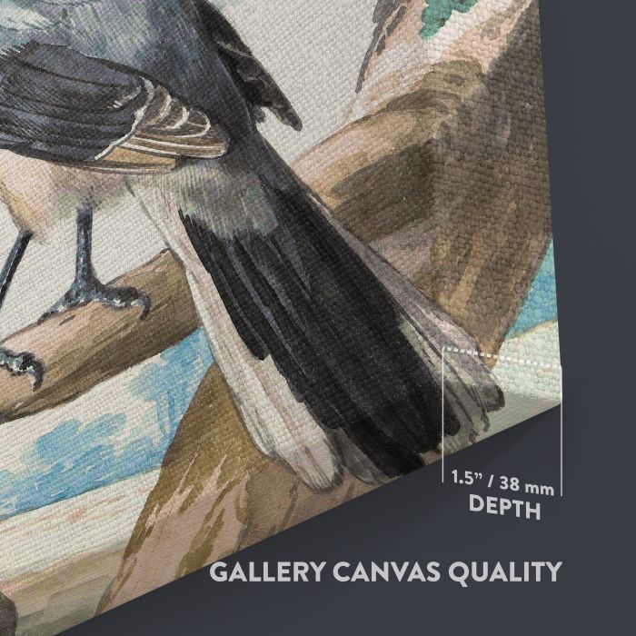 Long-Tailed Tit, Blue Tit and Great Grey Shrike (1756) canvas print, canvas surface and edge detail