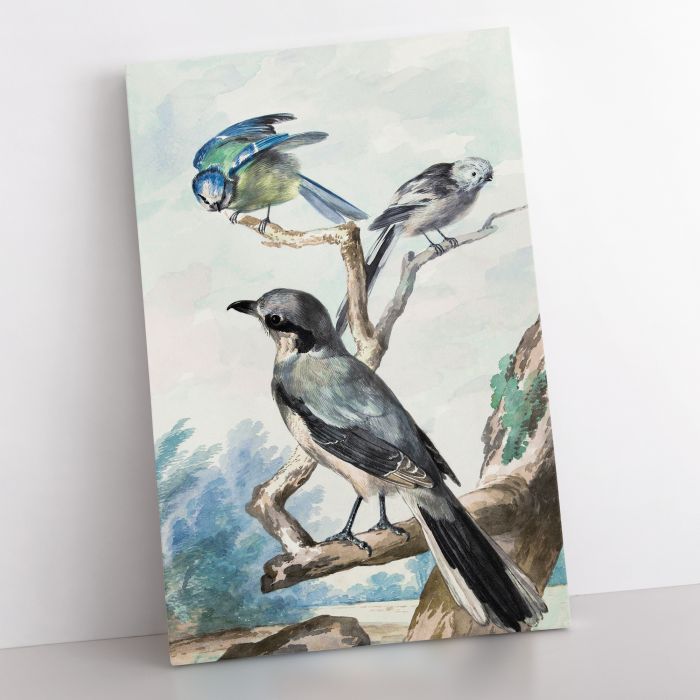 Long-Tailed Tit, Blue Tit and Great Grey Shrike (1756) canvas print, interior display view