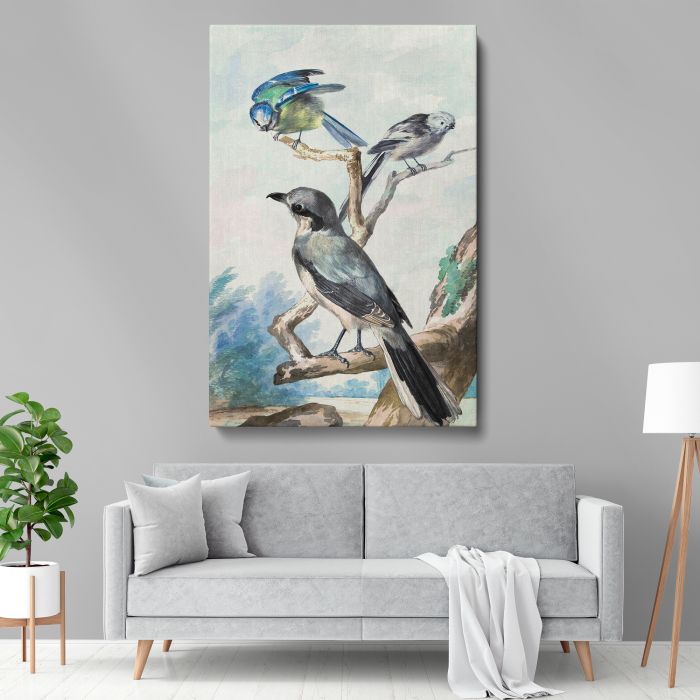 Long-Tailed Tit, Blue Tit and Great Grey Shrike (1756) canvas print, interior display view