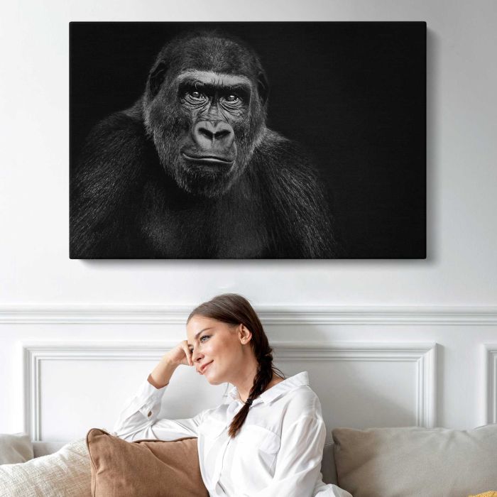 Lowland Gorilla on black background canvas print, interior display view