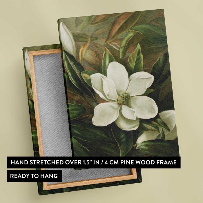 Magnolia grandiflora by Ellen Thayer Fisher canvas print, canvas reverse and frame view
