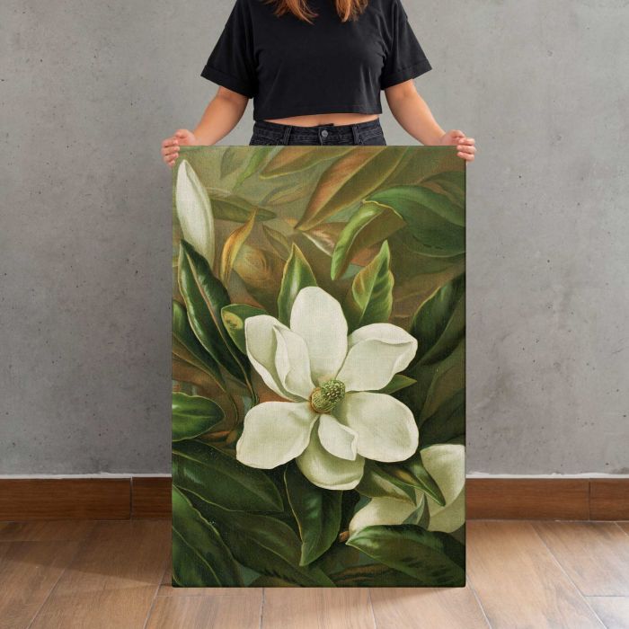 Magnolia grandiflora by Ellen Thayer Fisher canvas print, canvas shown with a person for scale