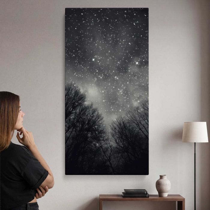 Night Sky Astronomy above the Forest canvas print, interior display view
