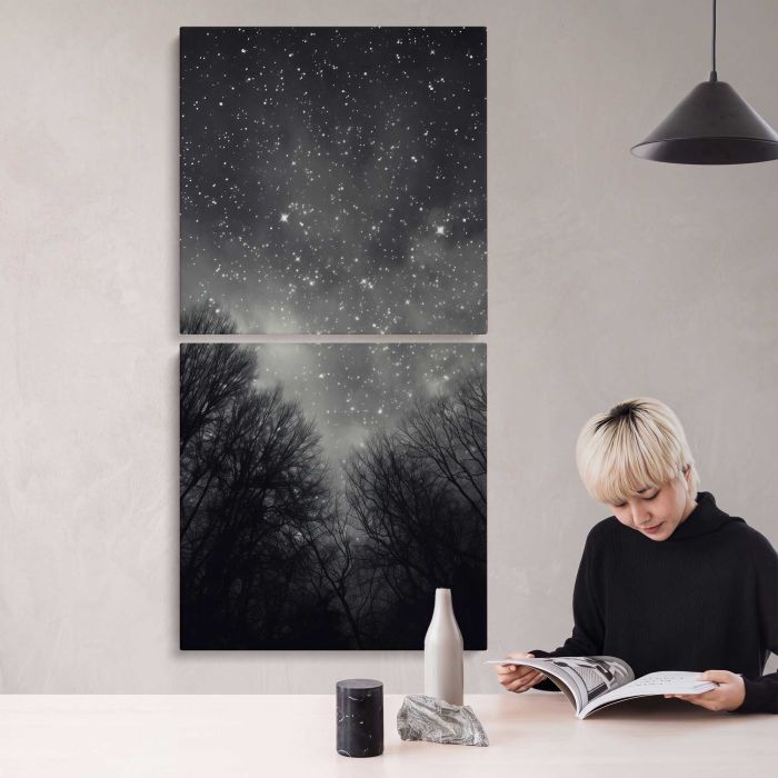 Night Sky Astronomy above the Forest canvas print, interior display view
