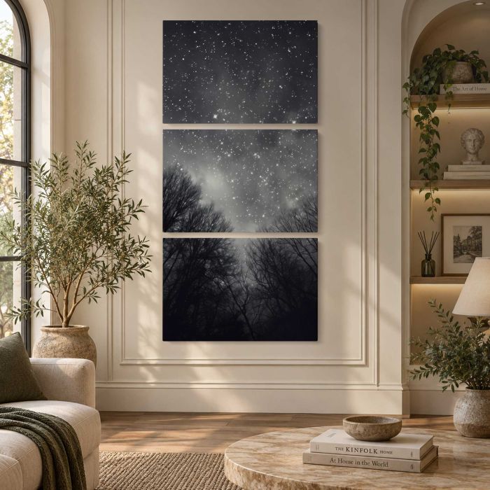 Night Sky Astronomy above the Forest canvas print, interior display view