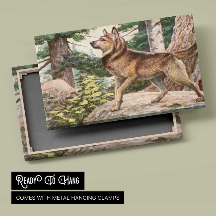 Norwegian Elkhound (1919) by Louis Agassiz Fuertes canvas print, canvas reverse and frame view