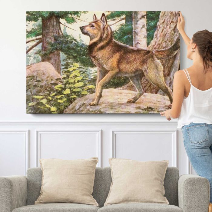 Norwegian Elkhound (1919) by Louis Agassiz Fuertes canvas print, canvas shown with a person for scale