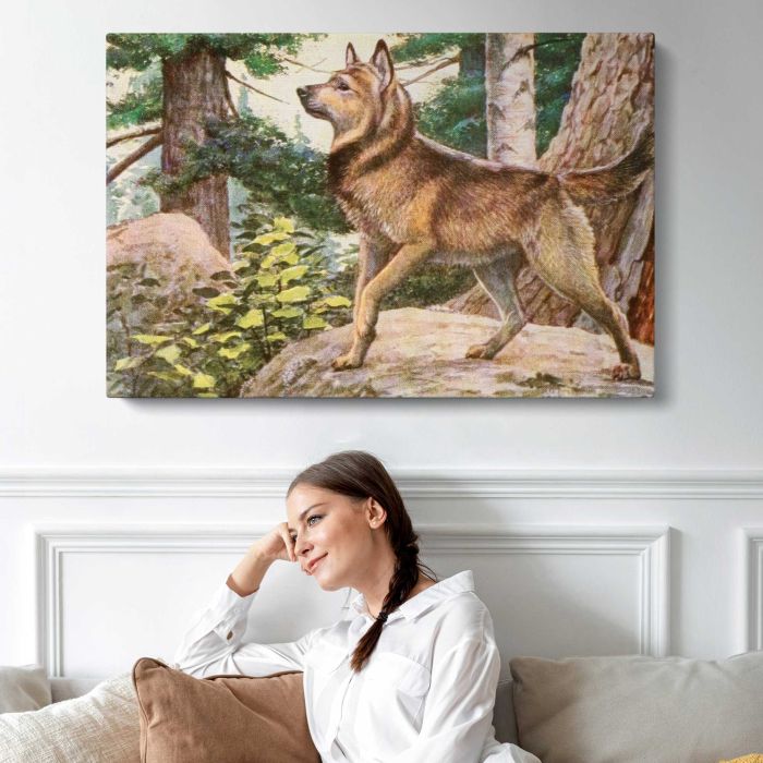 Norwegian Elkhound (1919) by Louis Agassiz Fuertes canvas print, interior display view