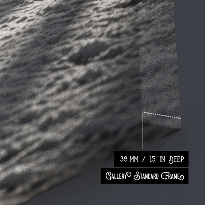 Park Bench beneath Sunlit Trees in Monochrome canvas print, canvas surface and edge detail