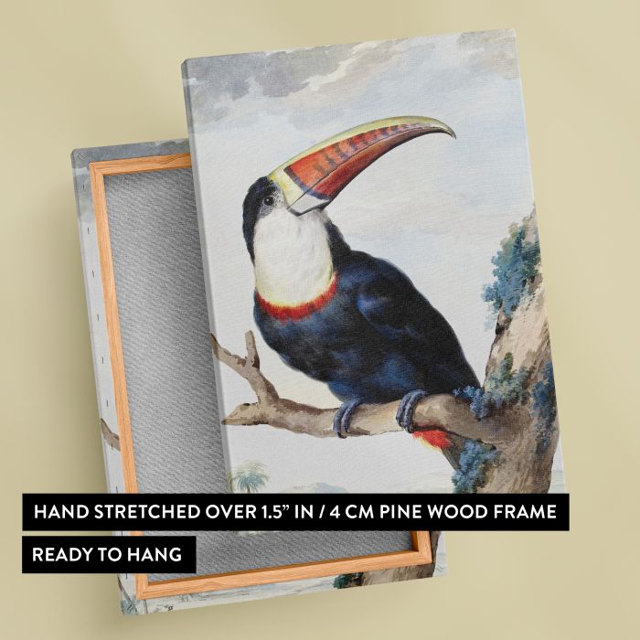 Red-billed Toucan (1748) by Aert Schouman canvas print, canvas reverse and frame view