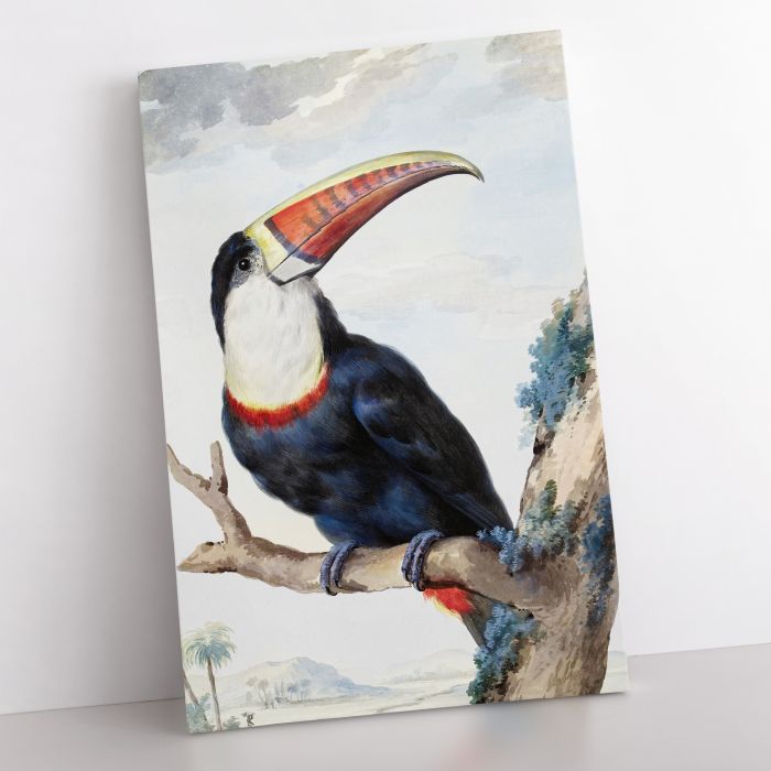 Red-billed Toucan (1748) by Aert Schouman canvas print, interior display view