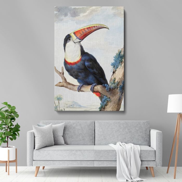 Red-billed Toucan (1748) by Aert Schouman canvas print, interior display view