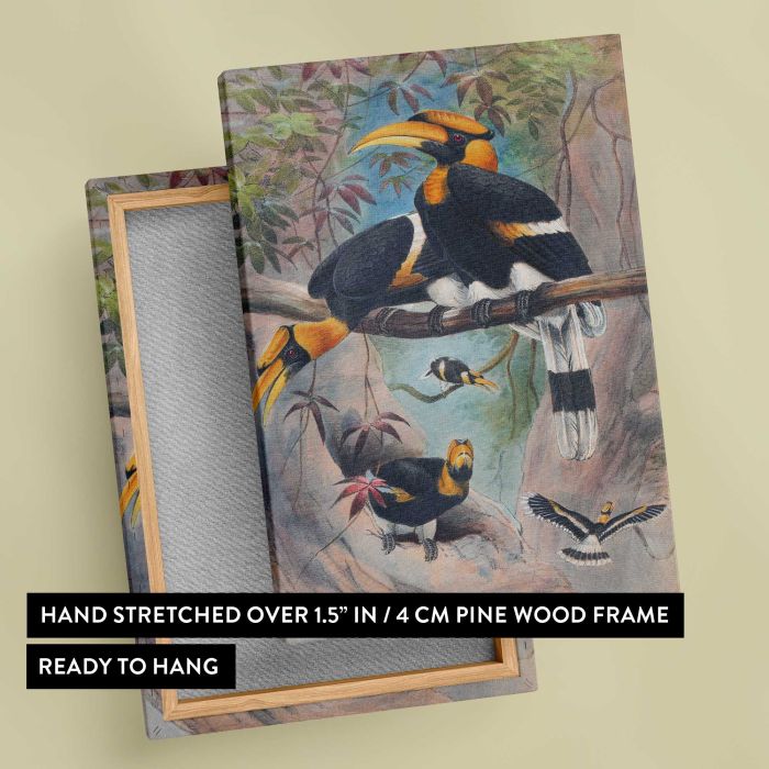 Rhinoceros Hornbill by Joseph Wolf canvas print, canvas reverse and frame view
