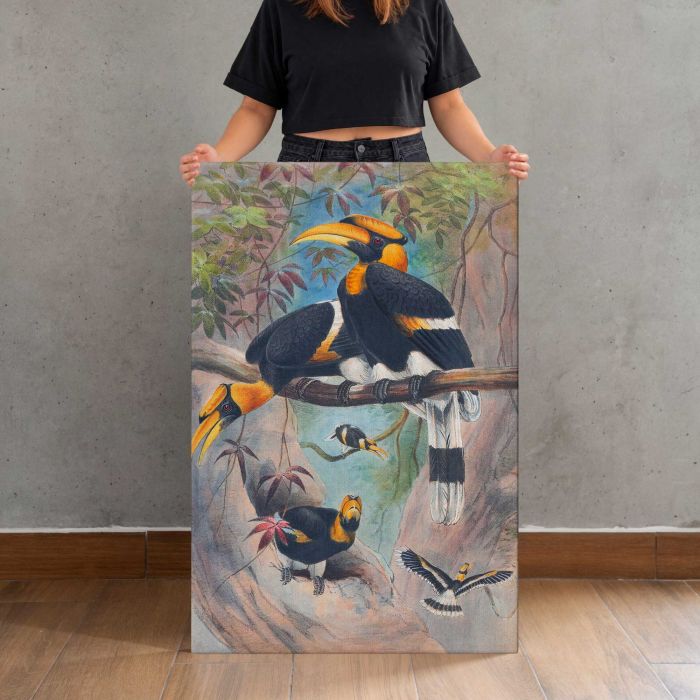 Rhinoceros Hornbill by Joseph Wolf canvas print, canvas shown with a person for scale