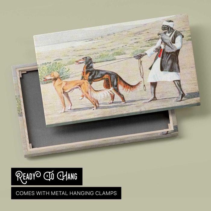 Scottish Deerhound and Persian Gazelle Hound (1919) by Louis Agassiz Fuertes canvas print, canvas reverse and frame view