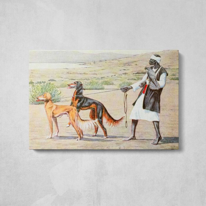 Scottish Deerhound and Persian Gazelle Hound (1919) by Louis Agassiz Fuertes canvas print, front canvas view