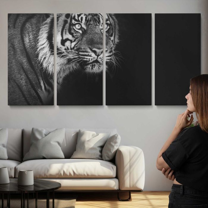 Sumatran Tiger on black background canvas print, interior display view