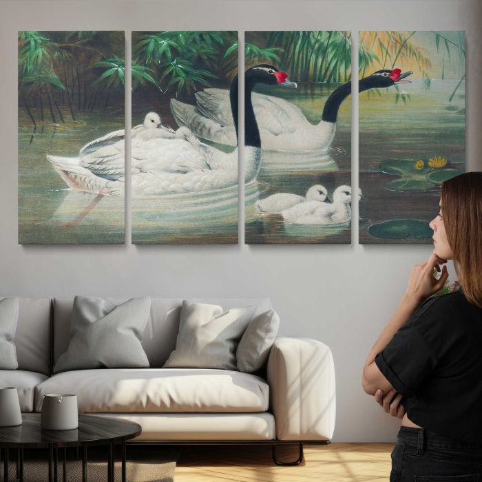 The Black-Necked Swan by Joseph Wolf canvas print, interior display view
