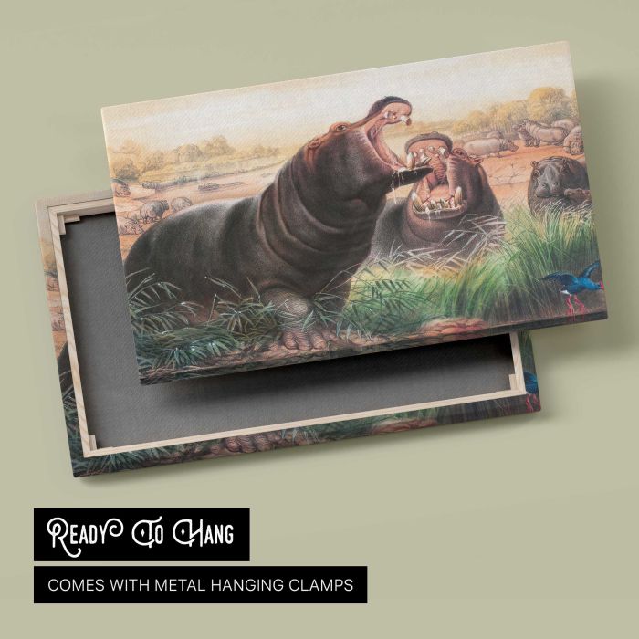 The Hippopotamus by Joseph Wolf canvas print, canvas reverse and frame view