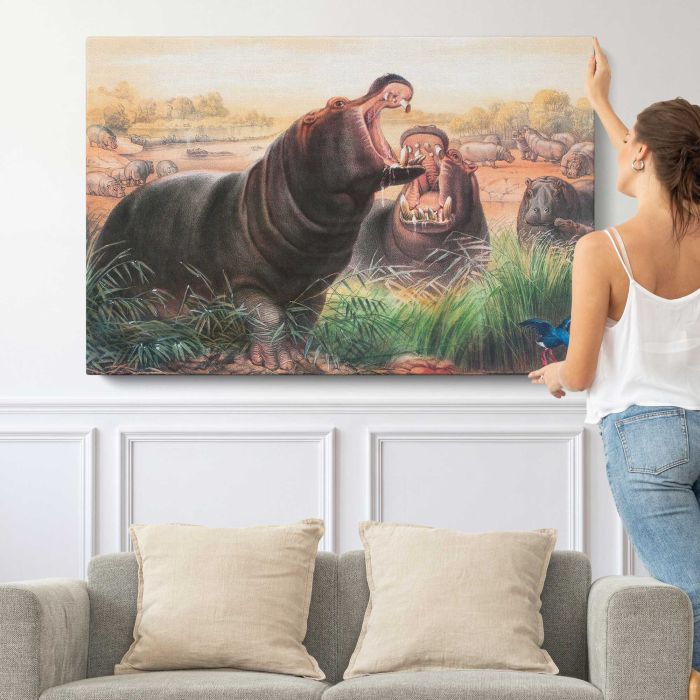 The Hippopotamus by Joseph Wolf canvas print, canvas shown with a person for scale