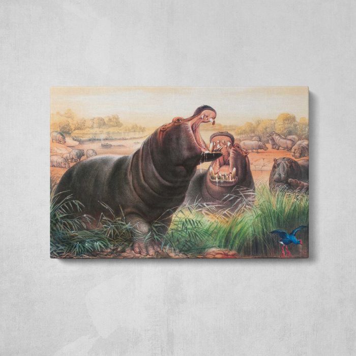 The Hippopotamus by Joseph Wolf canvas print, front canvas view