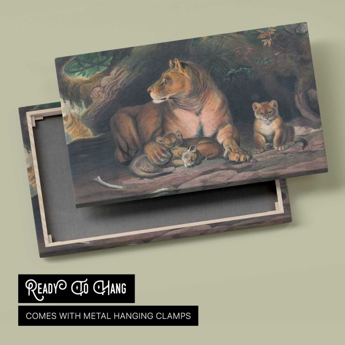 The Lion by Joseph Wolf canvas print, canvas reverse and frame view