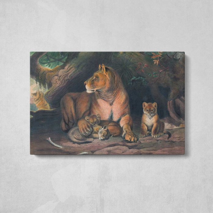 The Lion by Joseph Wolf canvas print, front canvas view