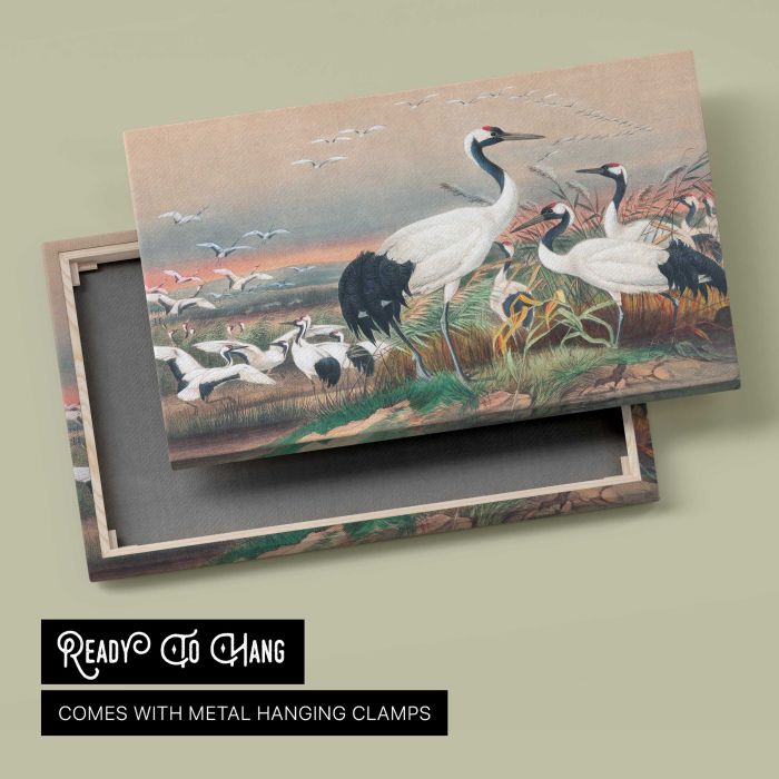 The Manchurian Crane by Joseph Wolf canvas print, canvas reverse and frame view