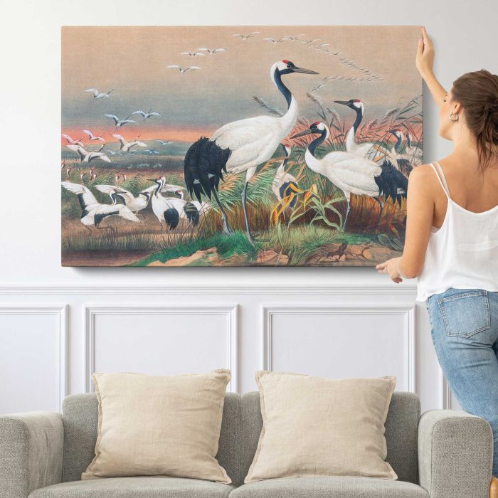 The Manchurian Crane by Joseph Wolf canvas print, canvas shown with a person for scale