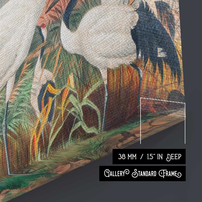 The Manchurian Crane by Joseph Wolf canvas print, canvas surface and edge detail