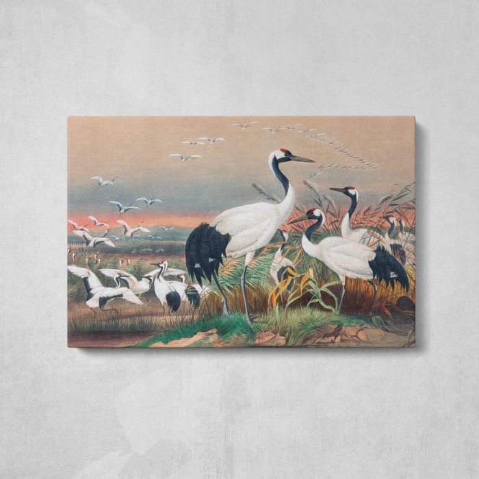 The Manchurian Crane by Joseph Wolf canvas print, front canvas view