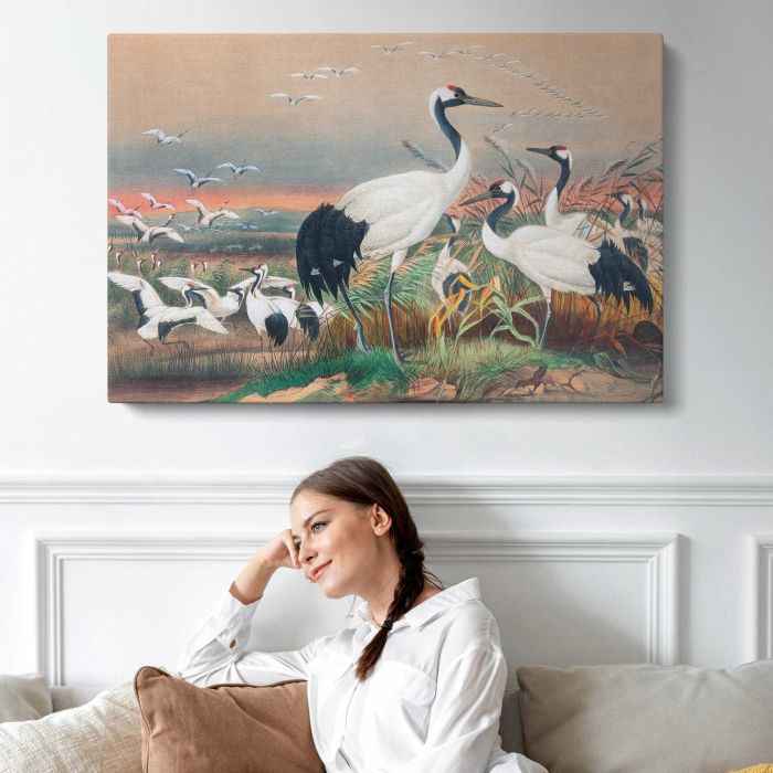 The Manchurian Crane by Joseph Wolf canvas print, interior display view