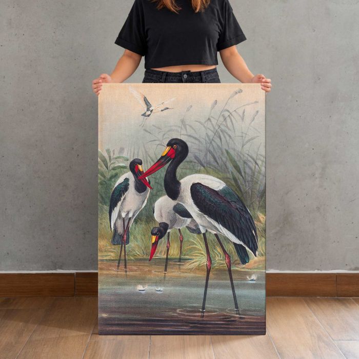 The Saddle-Billed Stork by Joseph Wolf canvas print, canvas shown with a person for scale