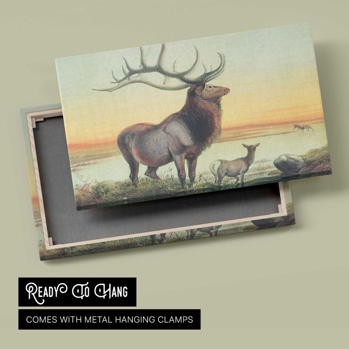 The Wapiti by Joseph Wolf canvas print, canvas reverse and frame view