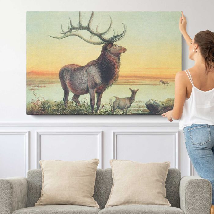 The Wapiti by Joseph Wolf canvas print, canvas shown with a person for scale