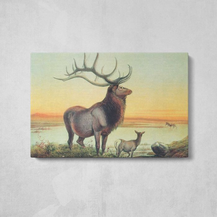 The Wapiti by Joseph Wolf canvas print, front canvas view