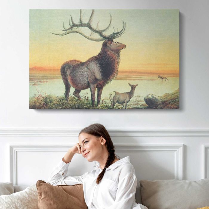 The Wapiti by Joseph Wolf canvas print, interior display view