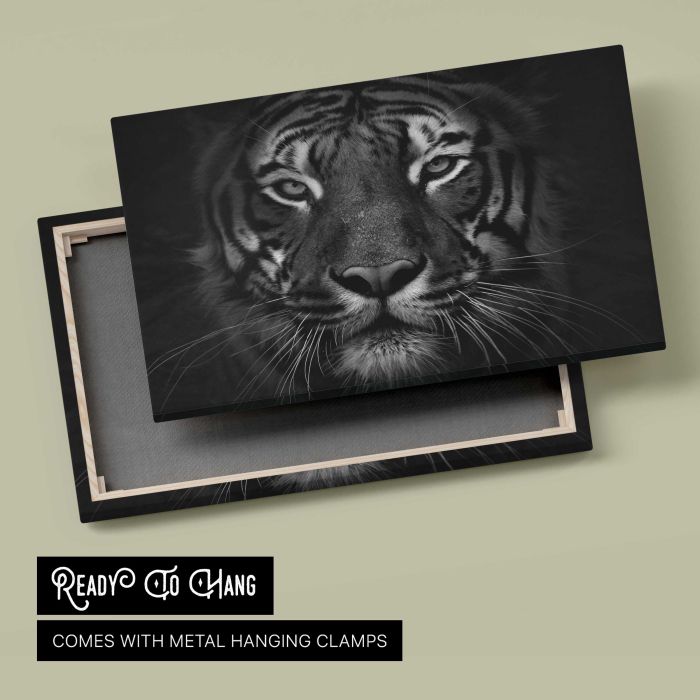 Tiger in Black and White canvas print, canvas reverse and frame view