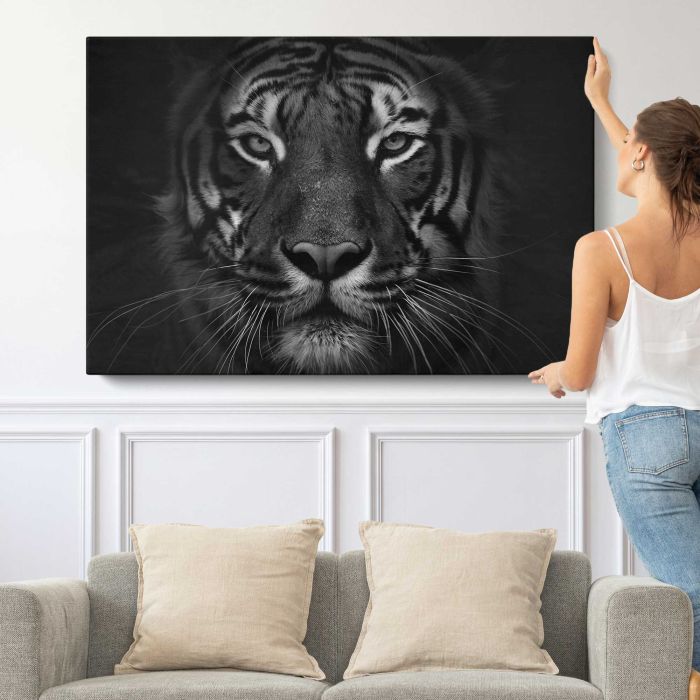 Tiger in Black and White canvas print, canvas shown with a person for scale