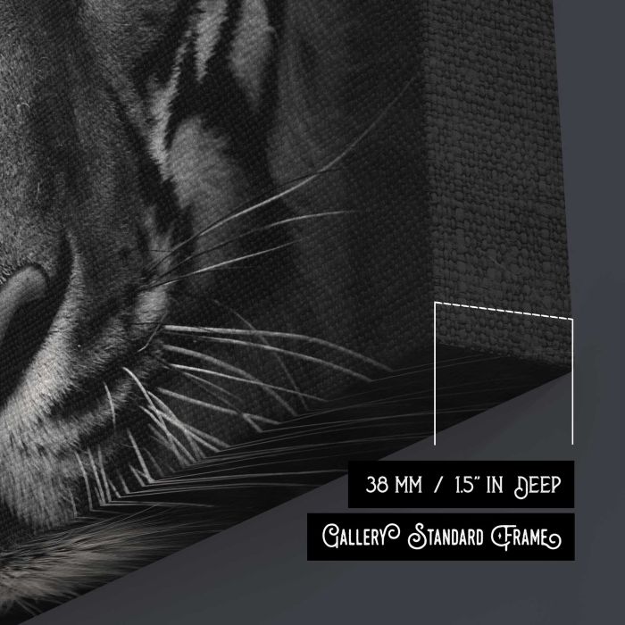 Tiger in Black and White canvas print, canvas surface and edge detail