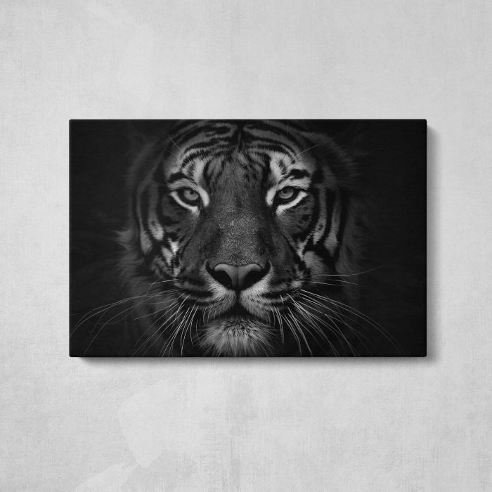 Tiger in Black and White canvas print, front canvas view
