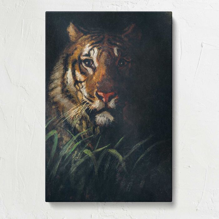 Tiger’s Head by Abbott Handerson Thayer canvas print, front canvas view
