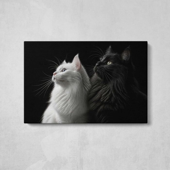 Two Cats in Black and White canvas print, front canvas view