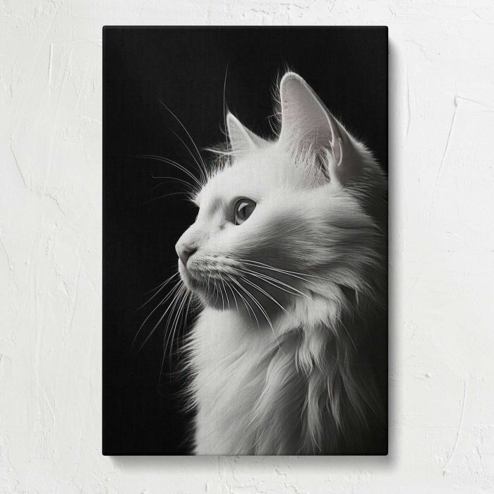 White Cat in Monochrome canvas print, front canvas view