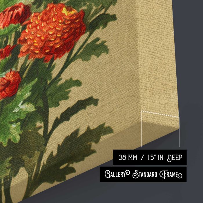 White & red chrysanthemums by Ellen Thayer Fisher canvas print, canvas surface and edge detail