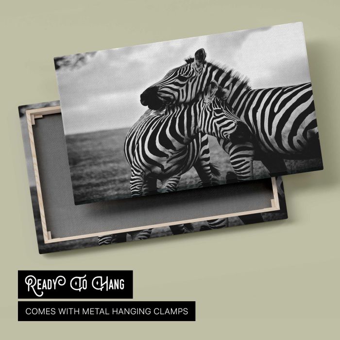 Zebras in Black and White canvas print, canvas reverse and frame view