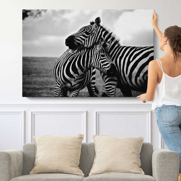 Zebras in Black and White canvas print, canvas shown with a person for scale