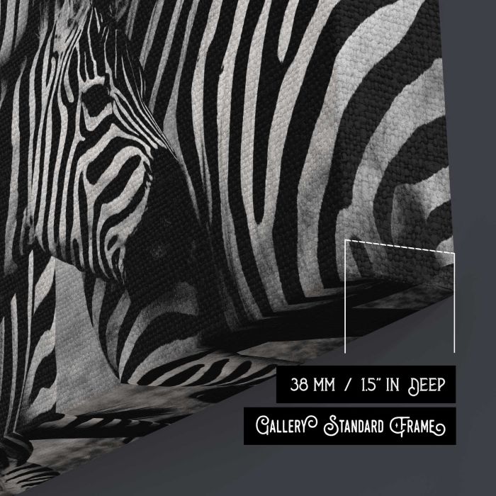 Zebras in Black and White canvas print, canvas surface and edge detail