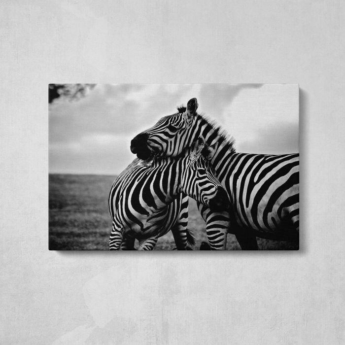 Zebras in Black and White canvas print, front canvas view